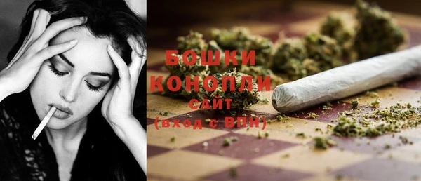 PSILOCYBIN Балабаново
