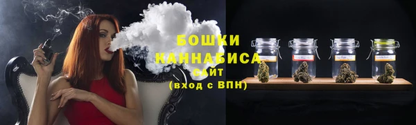 PSILOCYBIN Балабаново
