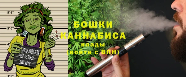 PSILOCYBIN Балабаново