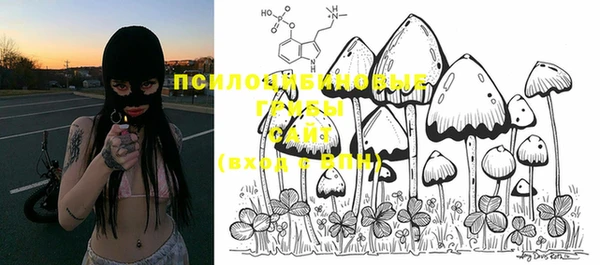PSILOCYBIN Балабаново