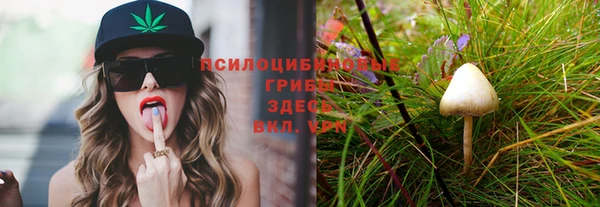 прущий лед Балахна